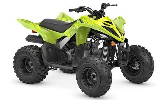 2026 Yamaha Raptor 110