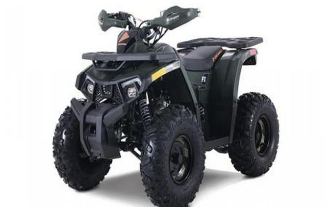2026 Denago Powersports Mudhawk 10FI
