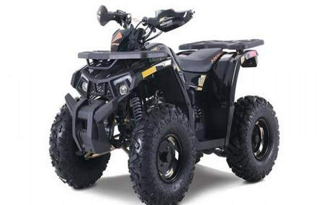 2026 Denago Powersports Mudhawk 10FI