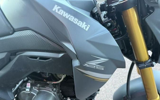 2024 Kawasaki Z125 PRO