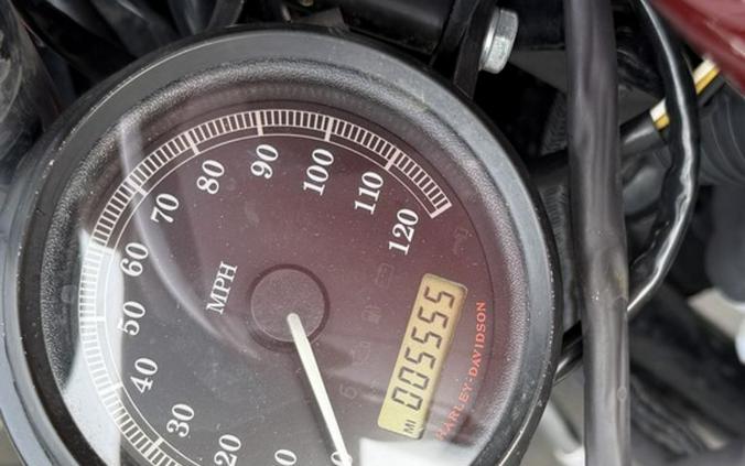 2013 Harley-Davidson® XL883N - Sportster® Iron 883™