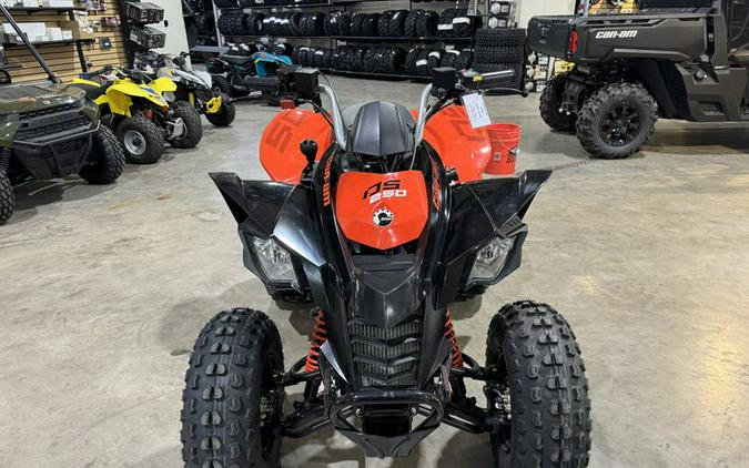 New 2024 Can-Am DS250 Youth ATV Ages 14+