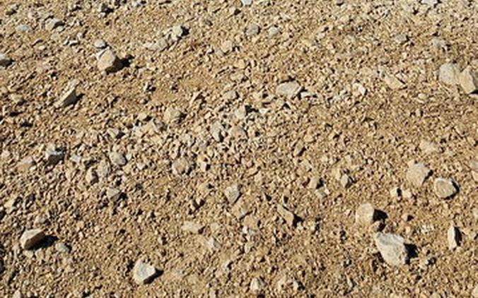 2024 Polaris® RZR Pro XP Sport