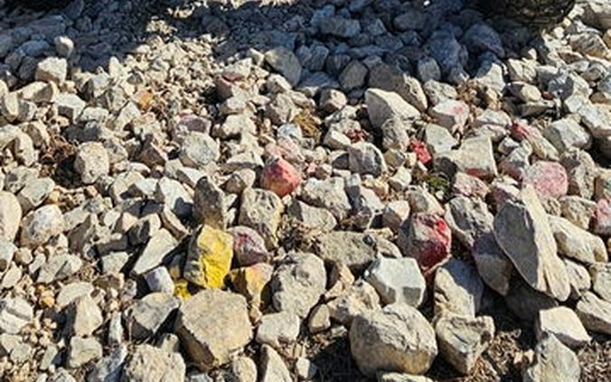 2024 Polaris® RZR Pro XP Sport