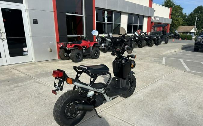 2023 Honda Ruckus