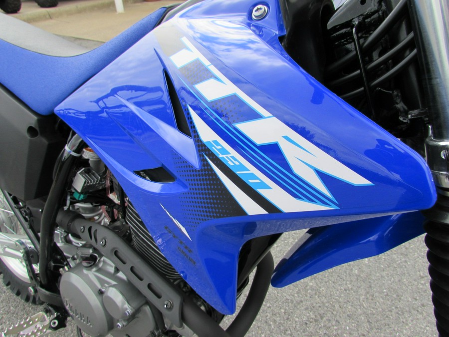 2025 Yamaha TTR 230