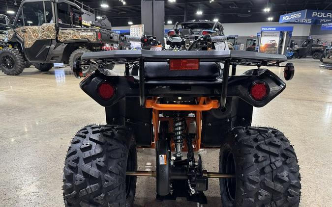 2026 Kayo Bull 125 EFI