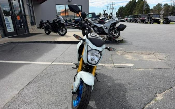 2026 Kawasaki Z125 PRO