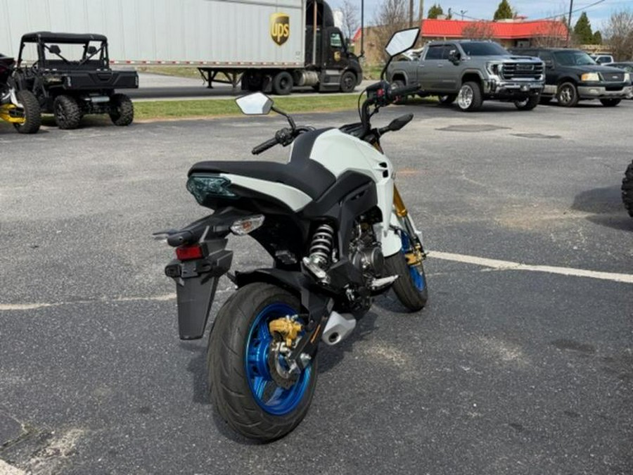 2026 Kawasaki Z125 PRO