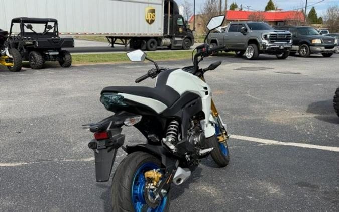 2026 Kawasaki Z125 PRO