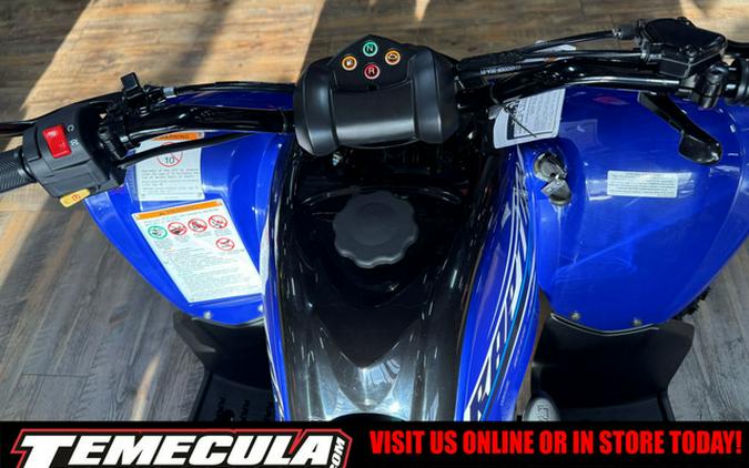 2026 Yamaha Raptor 110