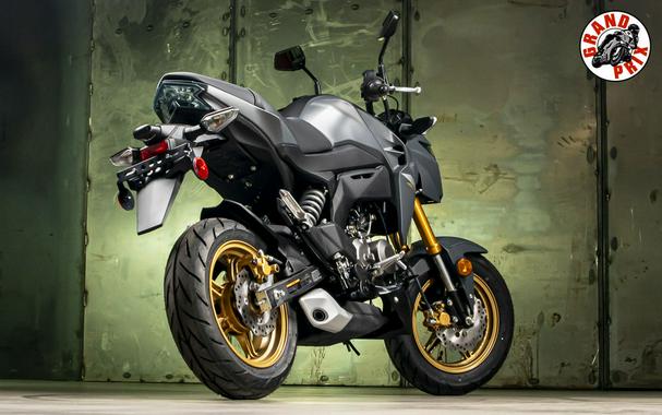 2024 Kawasaki Z125 PRO