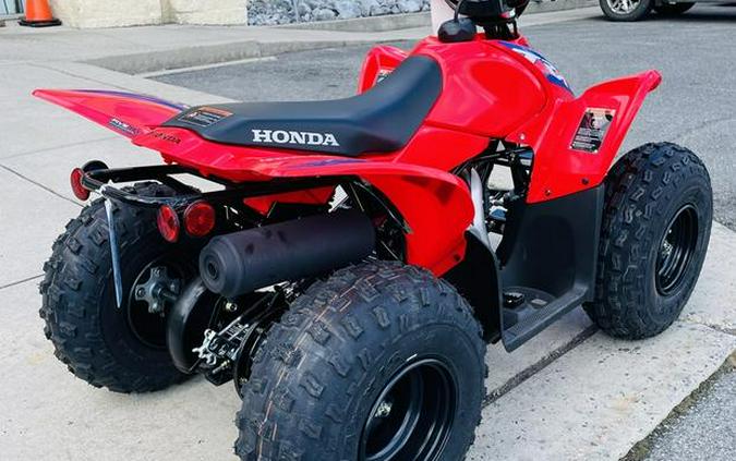 2024 Honda® TRX90X