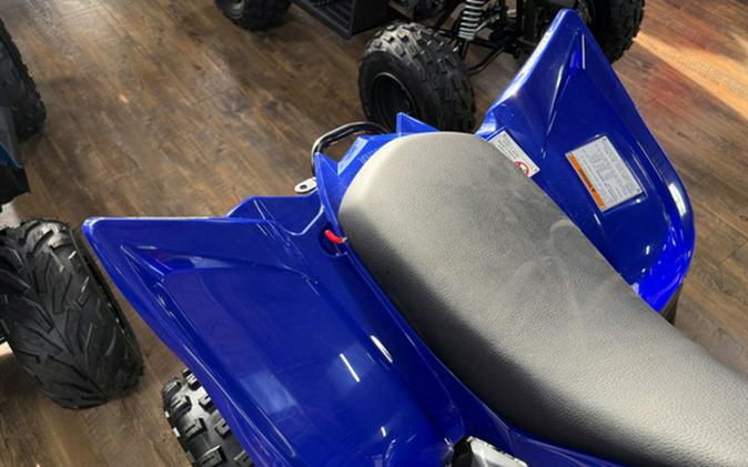 2026 Yamaha Raptor 110