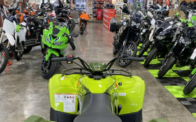 2026 Yamaha Grizzly 110