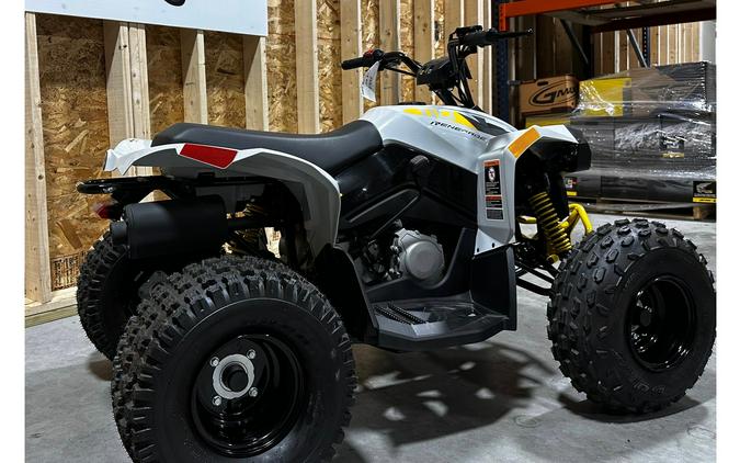 2024 Can-Am Renegade 110 EFI Gray & Yellow / Blue & Black