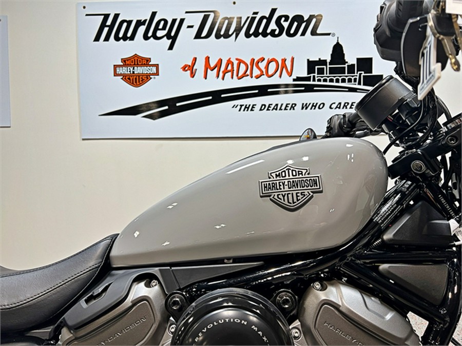 2024 Harley-Davidson Nightster RH975 Billiard Gray