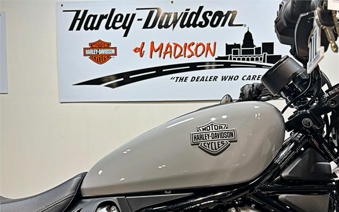 2024 Harley-Davidson Nightster RH975 Billiard Gray