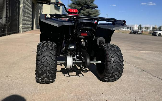 2025 Yamaha Grizzly 110