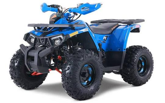 2026 Denago Powersports Mudhawk 10FI