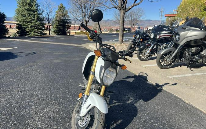 2025 Honda® Grom