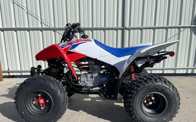 2026 Honda TRX250X