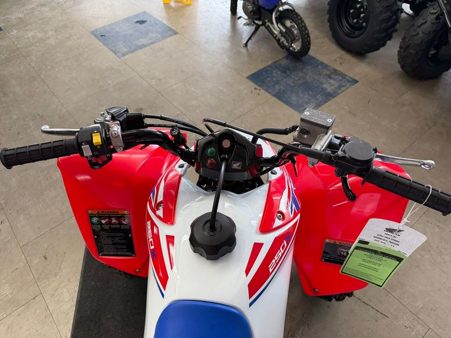 2026 Honda TRX® 250X