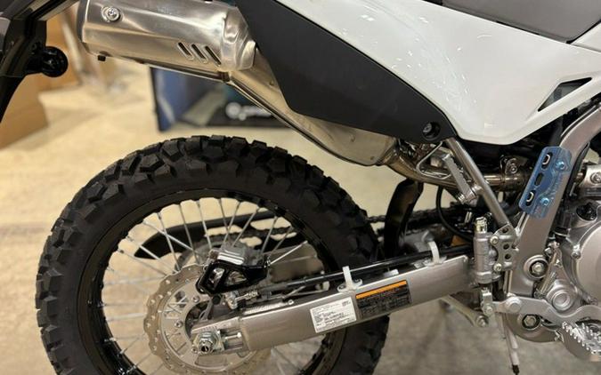 2026 Kawasaki KLX 300