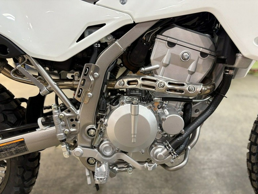 2026 Kawasaki KLX 300