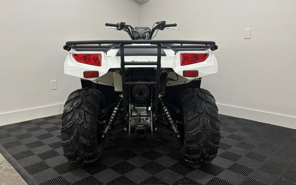 2025 Kawasaki Brute Force 450 4x4