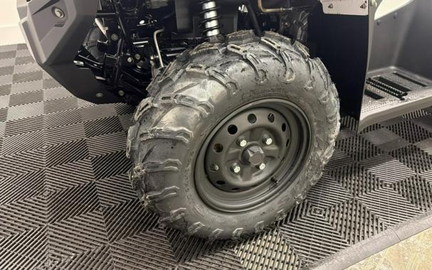 2025 Kawasaki Brute Force 450 4x4