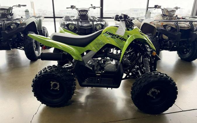2026 Yamaha Raptor 110
