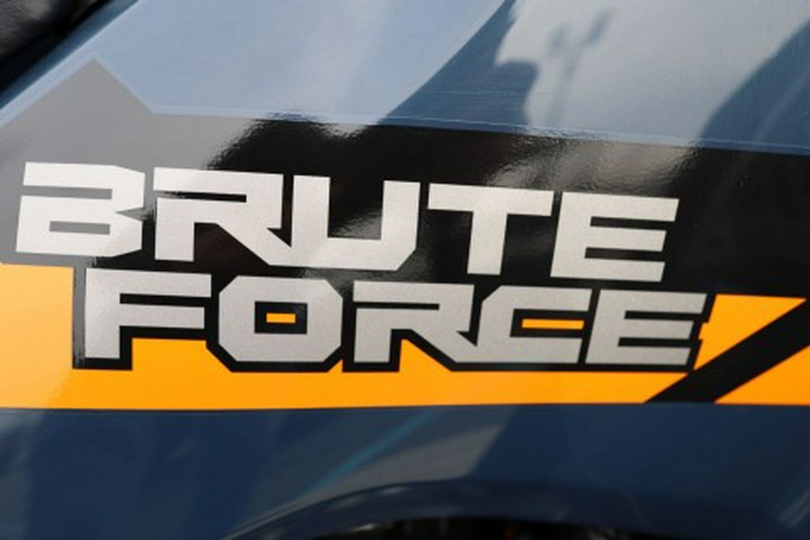 2026 Kawasaki Brute Force® 750 EPS