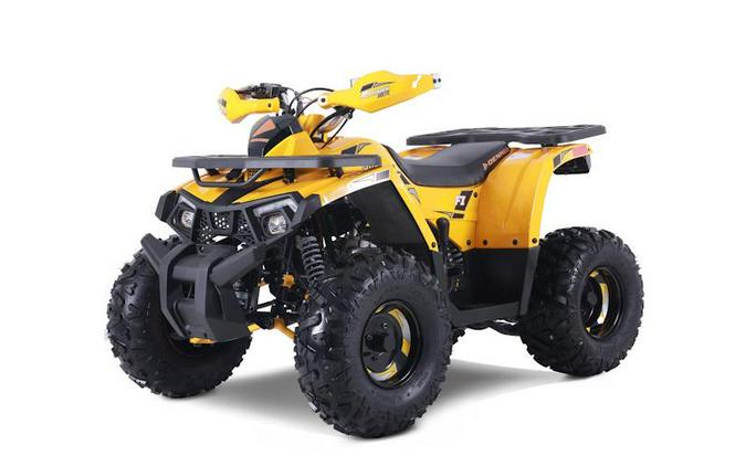 2026 Denago Powersports Mudhawk 10 FI