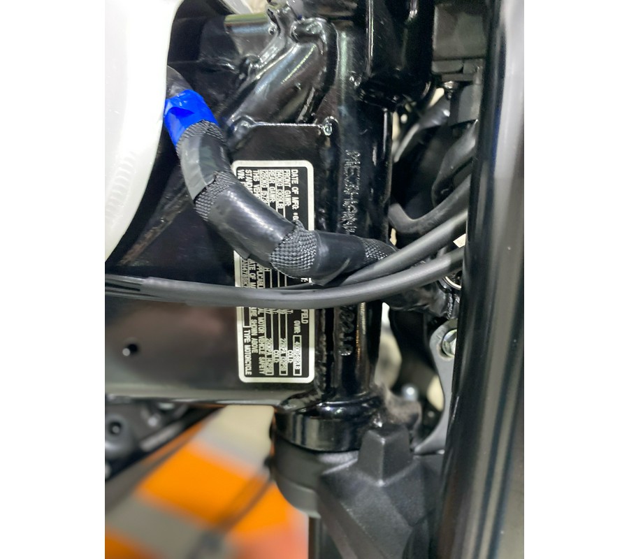 2025 Royal Enfield Bear 650