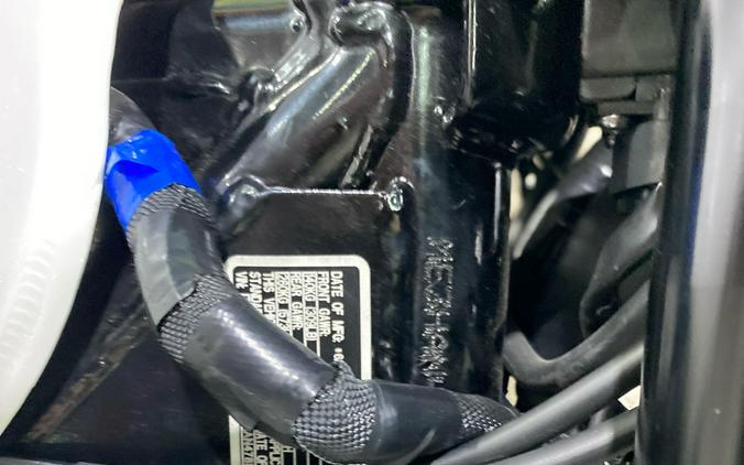 2025 Royal Enfield Bear 650