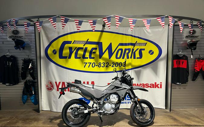 2025 Kawasaki KLX® 300SM