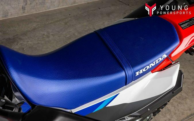 2025 Honda CRF300L Rally ABS