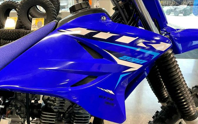 2026 Yamaha TT-R230