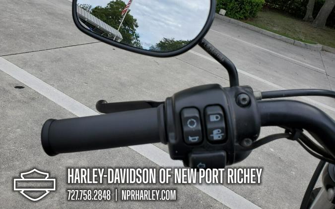 2022 Harley-Davidson Iron 883