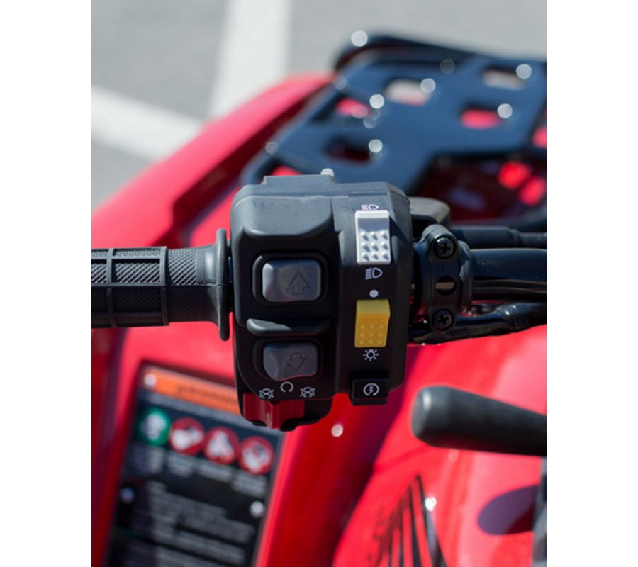 2025 Honda FourTrax Rubicon 700 4x4 Automatic