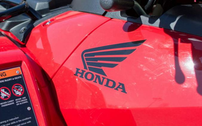 2025 Honda FourTrax Rubicon 700 4x4 Automatic