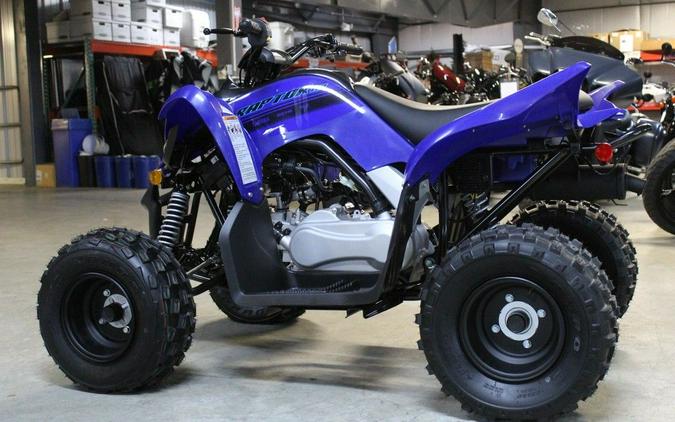 2025 Yamaha Raptor 110