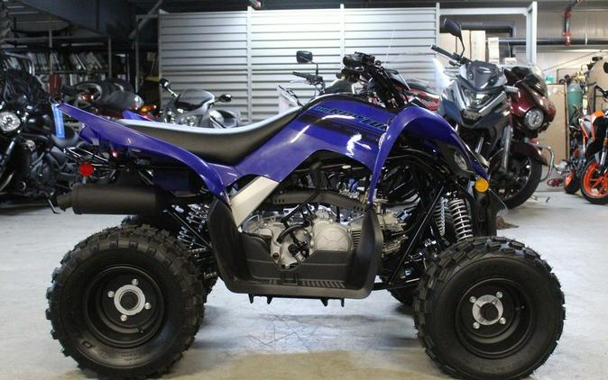 2025 Yamaha Raptor 110