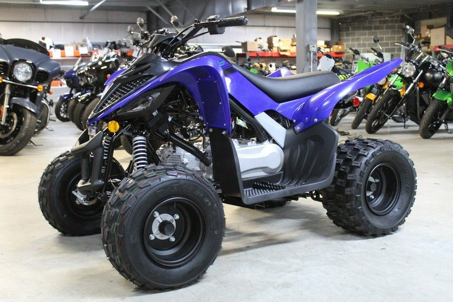 2025 Yamaha Raptor 110