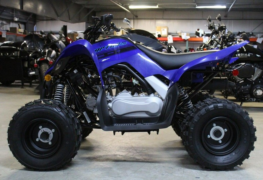 2025 Yamaha Raptor 110