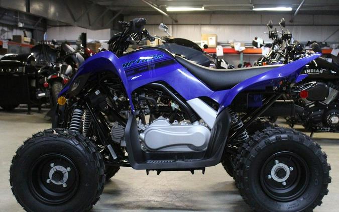 2025 Yamaha Raptor 110