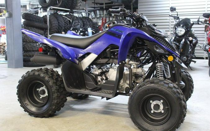 2025 Yamaha Raptor 110