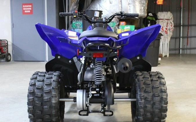 2025 Yamaha Raptor 110