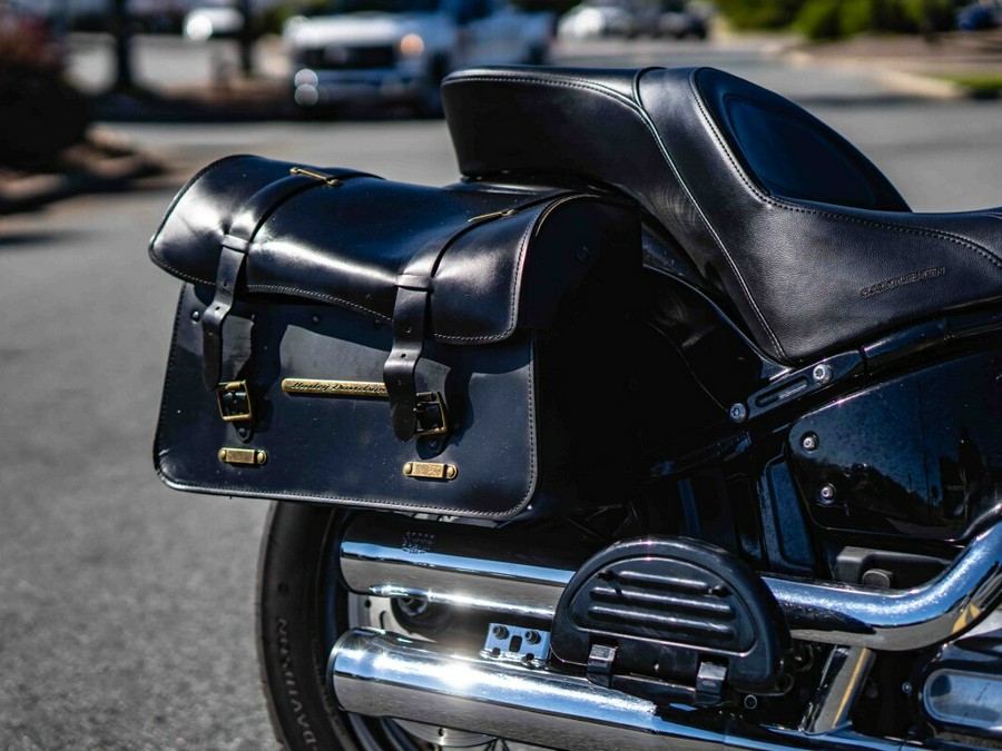 FLS 2018 Softail Slim®